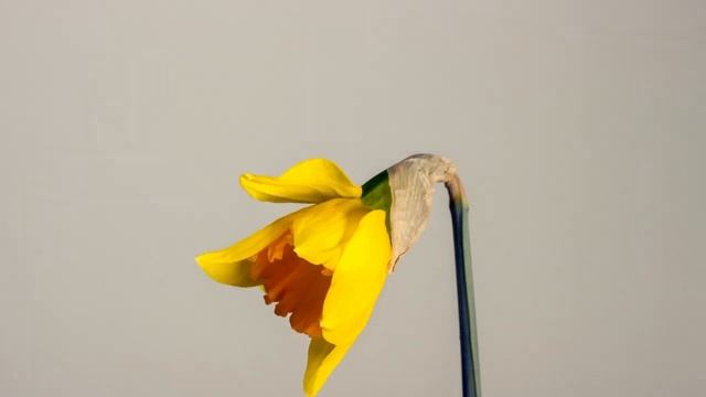 для души смотреть онлайн