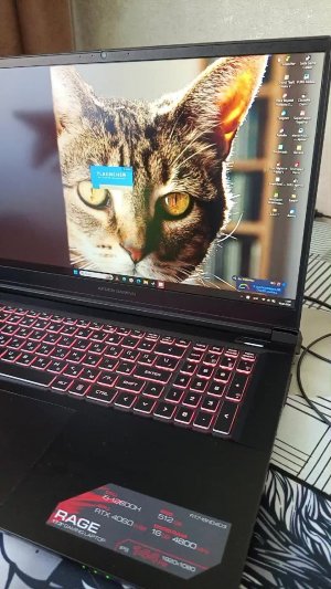 играем на хайпмс