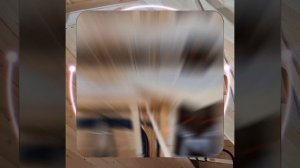 1000048313.mp4 (Собака наблюдает за устройством лестницы на 2 этаж в доме А-фрейм)