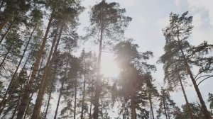 Свадебный клип в Москве