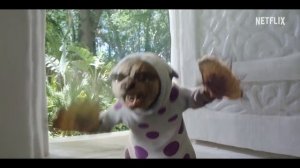 Сериал «One Piece. Большой куш» | Трейлер второго сезона