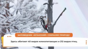 Югорчанам рассказали о заповеднике «Юганский»