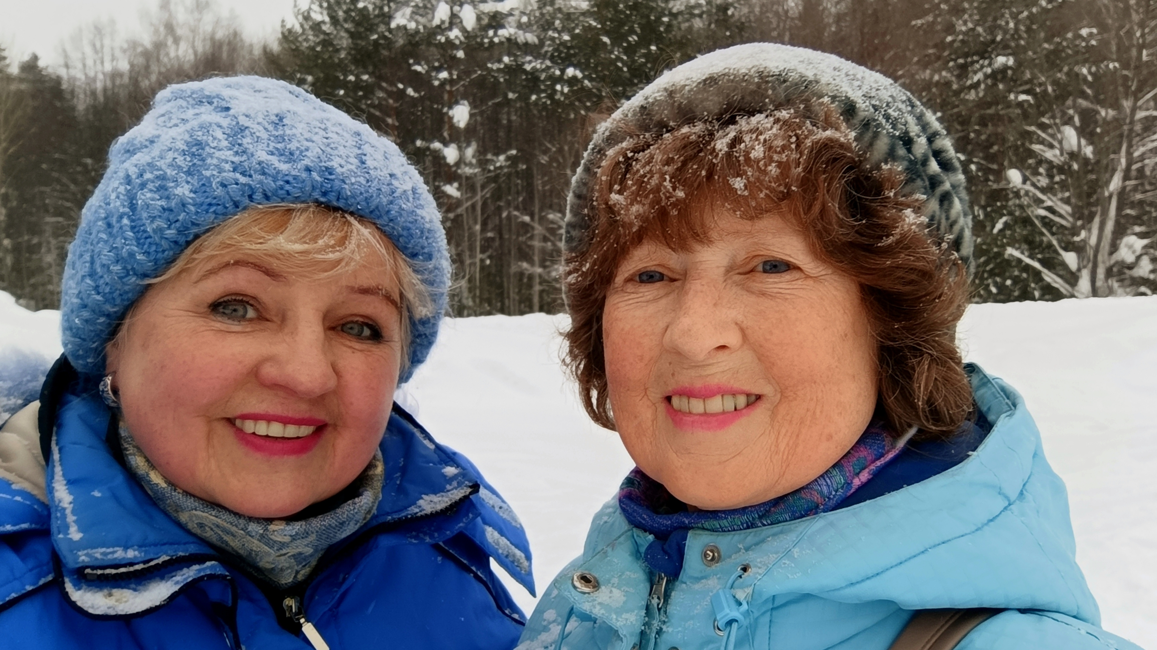 Зимний лес манит красотами... смотреть онлайн