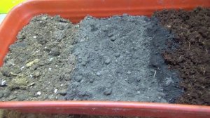 Магазинный грунт при выращивании рассады использую как добавку.