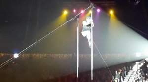 Любимое развлечение всех детей, конечно - цирк.