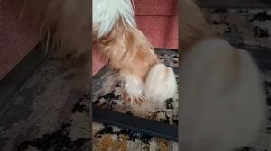 Доброе вкусное утро❄️😁