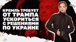 Удары по энергетике, Контратаки ВСУ - Южный фронт, РФ требует выполнения договоренностей Анкориджа