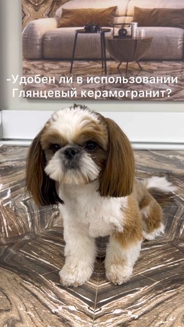 Балуся - эксперт по керамограниту!