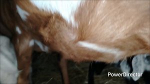 10-02-2026 Смотрите кто у меня появился 🫣.