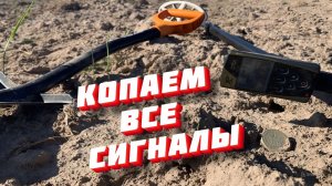 Что скрывалось под землей на месте исчезнувшей усадьбы?