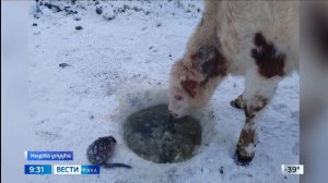 09:30 ВЕСТИ САХА 10/02/26 НА ЯКУТСКОМ ЯЗЫКЕ