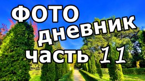 ПАРК ЮЖНЫЕ КУЛЬТУРЫ В НОЯБРЕ! ЗЕЛЁНОЕ БОГАТСТВО ОСЕНИ! ФОТО СЛАЙД-ШОУ. АДЛЕР. 23 НОЯБРЯ 2025 ГОДА.