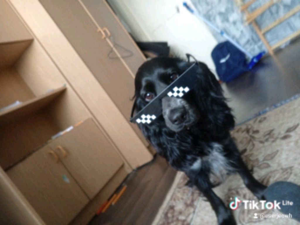 Мой первый Стрим на канале Михаил 2017 смотреть онлайн