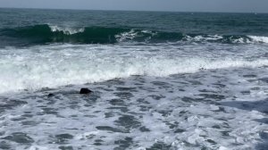 Феодосия в Чёрном море сейчас