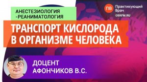 Доцент Афончиков В.С.: Транспорт кислорода в организме человека: что важно анестез-реаниматологу?