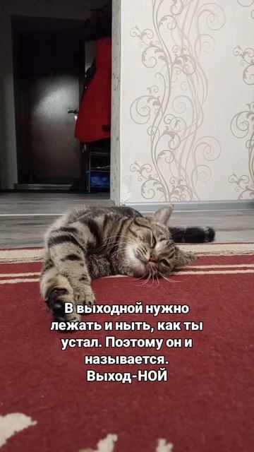 Выход- НОЙ смотреть онлайн