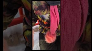 Я и моя лп  на прогулке 💟🩷🩷💛❤️🩷💛💞🩷🩷💛💞🩷💘💞💞💞💞💘💓💟💓💯🩷💘🩷🩷🩷💛💞💘💓💟🩷💘💓💟🩷