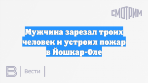 Мужчина зарезал троих человек и устроил пожар в Йошкар-Оле
