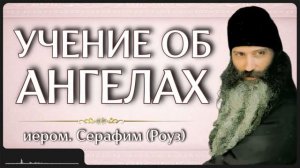 УЧЕНИЕ ОБ АНГЕЛАХ _ иером. Серафим (Роуз)