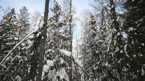 В жизни так бывает...