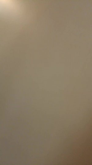 мои животные