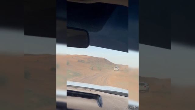 ОАЭ Сафари 26 января 2026г смотреть онлайн