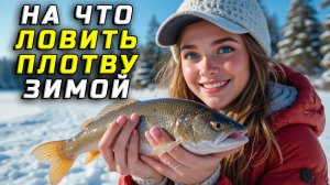 На что ловить плотву зимой