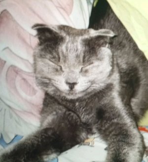 играю в пабг