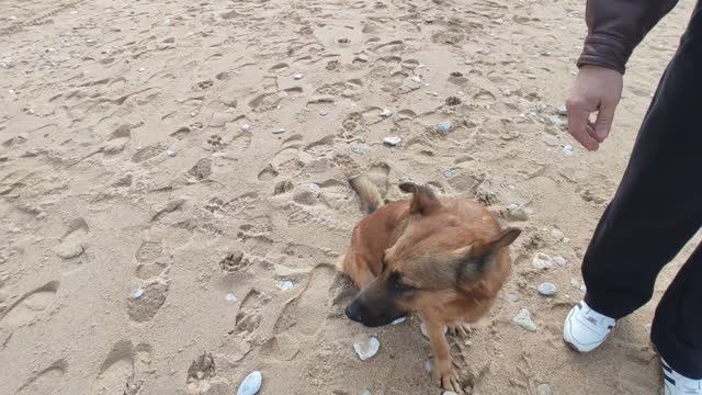 НАДЫШАЛИСЬ ВСЕГО ПО НЕ МНОГУ смотреть онлайн