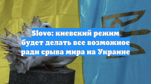 Slovo: киевский режим будет делать все возможное ради срыва мира на Украине