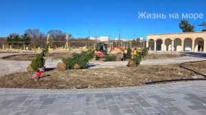 Первая очередь Дендропарка в Геленджике между Туристической и Солнцедарской прямо сейчас