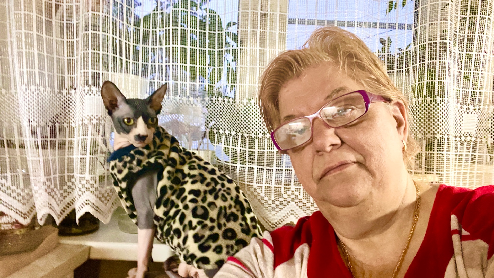 #1-10.02.26 ❄️ ДОБРОЕ УТРО СТРАНА 😃 РЫБНЫЕ КОТЛЕТКИ ❄️СНЕГ СНЕЖОК ❄️ смотреть онлайн