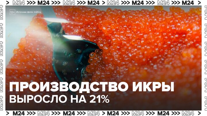 Производство красной икры выросло на 21% в России - Москва 24 смотреть онлайн