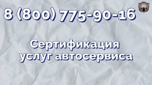 Процедура оформления сертификата по сертификации услуг автосервиса