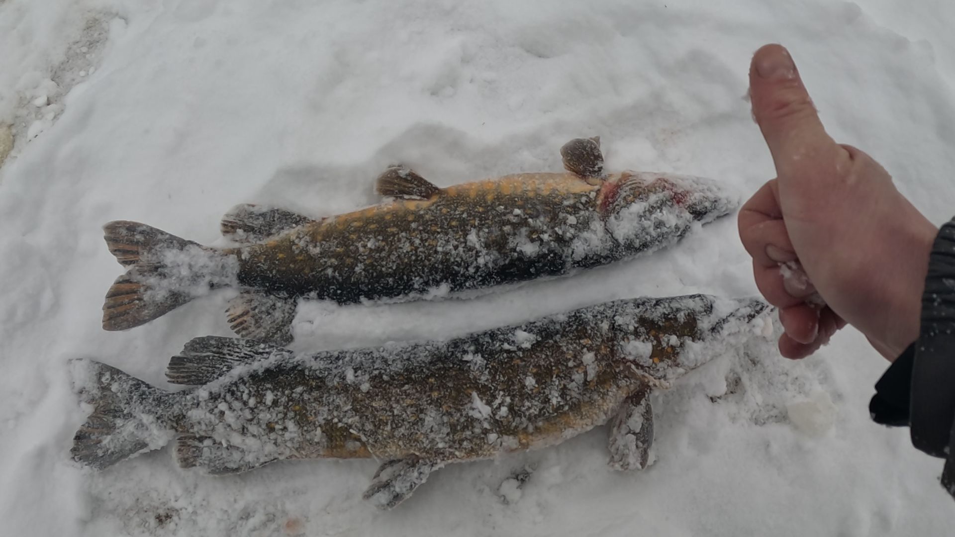 Щука в ГЛУХОЗИМЬЕ! смотреть онлайн