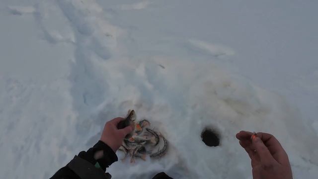 Рыбалка на озере. Попали на раздачу окуня! смотреть онлайн