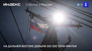На Дальнем Востоке добыли 305 000 тонн минтая