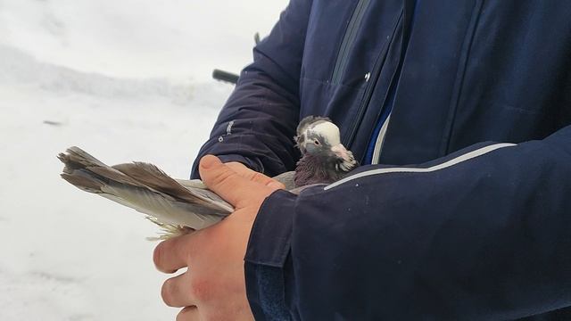 10.02.2026г Подарок на День рождения Станиславу!!! смотреть онлайн