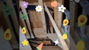 1000048302.mp4 (Собака наблюдает за устройством лестницы на 2 этаж в доме А-фрейм)