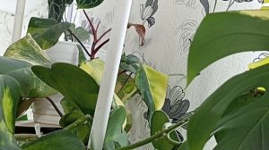 Оазис В Спальне В Феврале