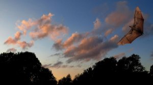 Ох, эти облака