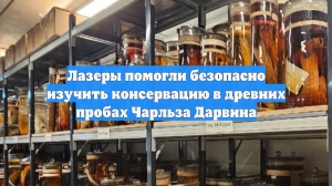 Лазеры помогли безопасно изучить консервацию в древних пробах Чарльза Дарвина