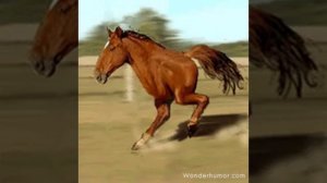 Марафон лошади 😱