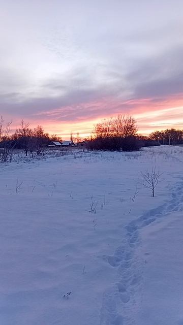 20260210_073401 смотреть онлайн