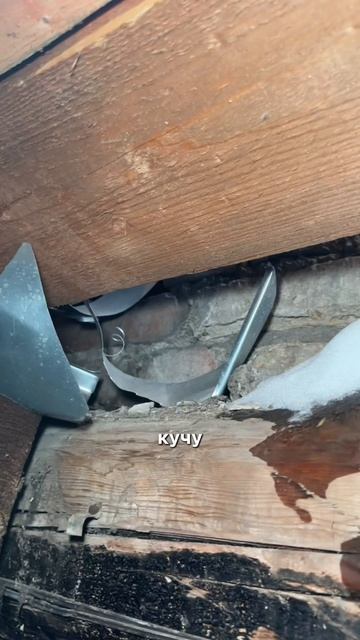 Это мой дом