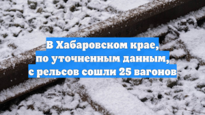 В Хабаровском крае, по уточненным данным, с рельсов сошли 25 вагонов