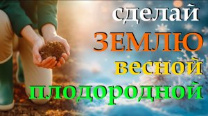 Как сделать весной землю плодородной