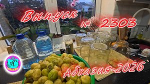 #Абхазия2026🌴 10.02.26г.🔥 Выпуск № 2303❗вчера +9°🌡ночью +1°🌡море +10°🐬