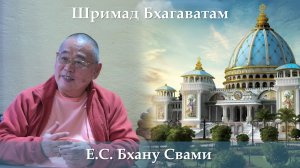 10.02.2026 || Шримад Бхагаватам 11.5.48 || Е.С. Бхану Свами