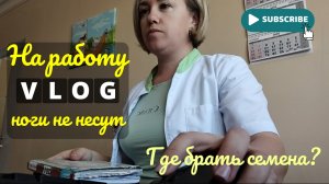 Переезд на Юг💛 На работу ноги НЕ НЕСУТ😟 Где брать СЕМЕНА? 🌱